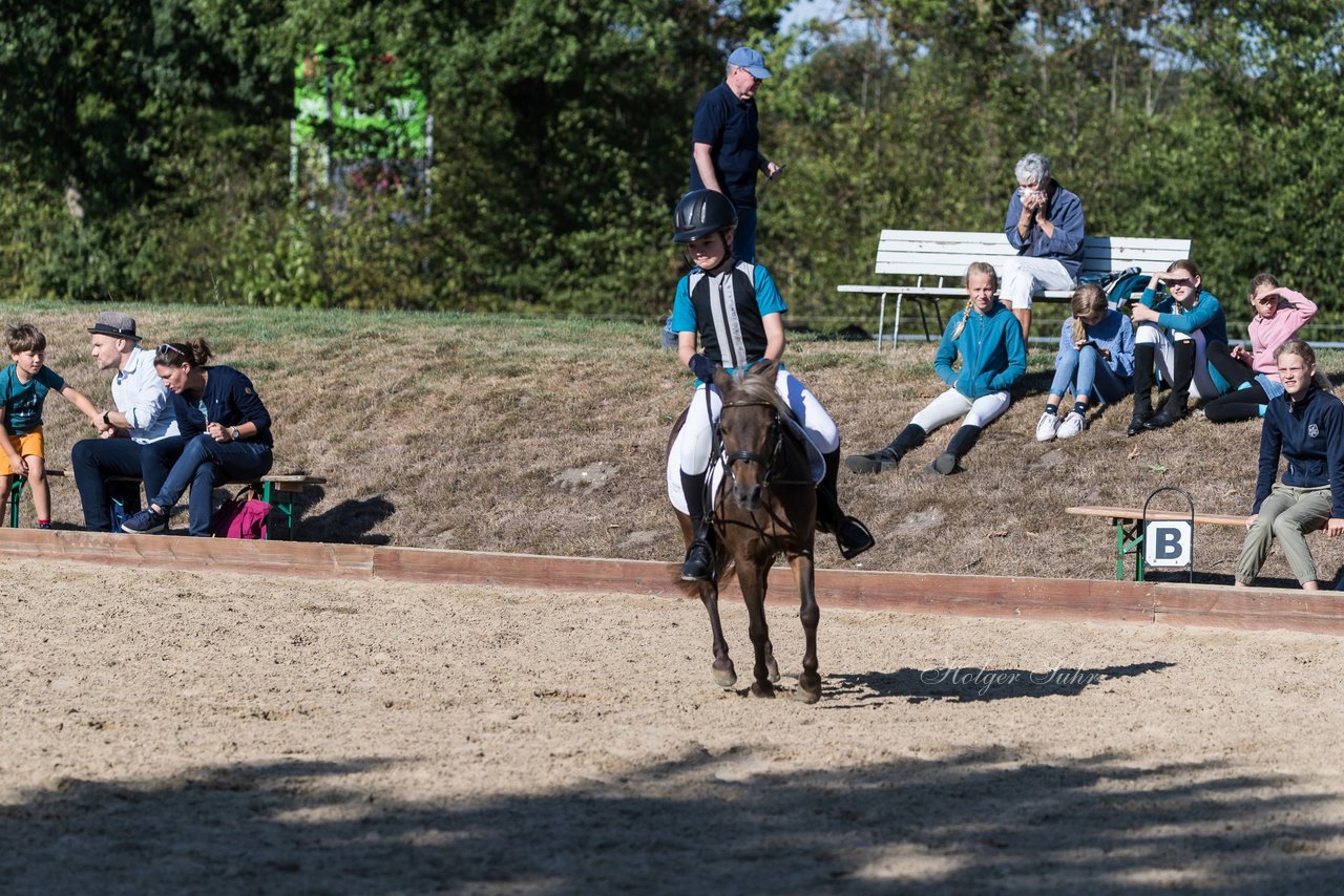 Bild 79 - Pony Akademie Turnier